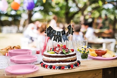 Miniatura 5 de Exquisite Platos de plástico para postresensalada, platos desechables de color sólido, 100 unidades (10 pulgadas, rosa)