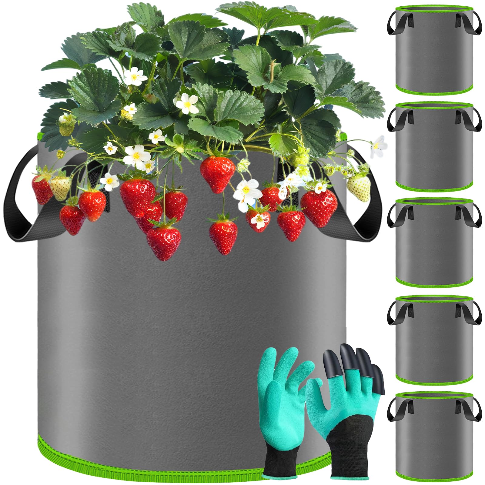 Lot de 5 Sacs de Plantation