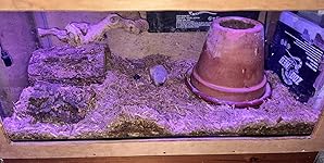 Review Image by Amazon Customer Amazon Customer