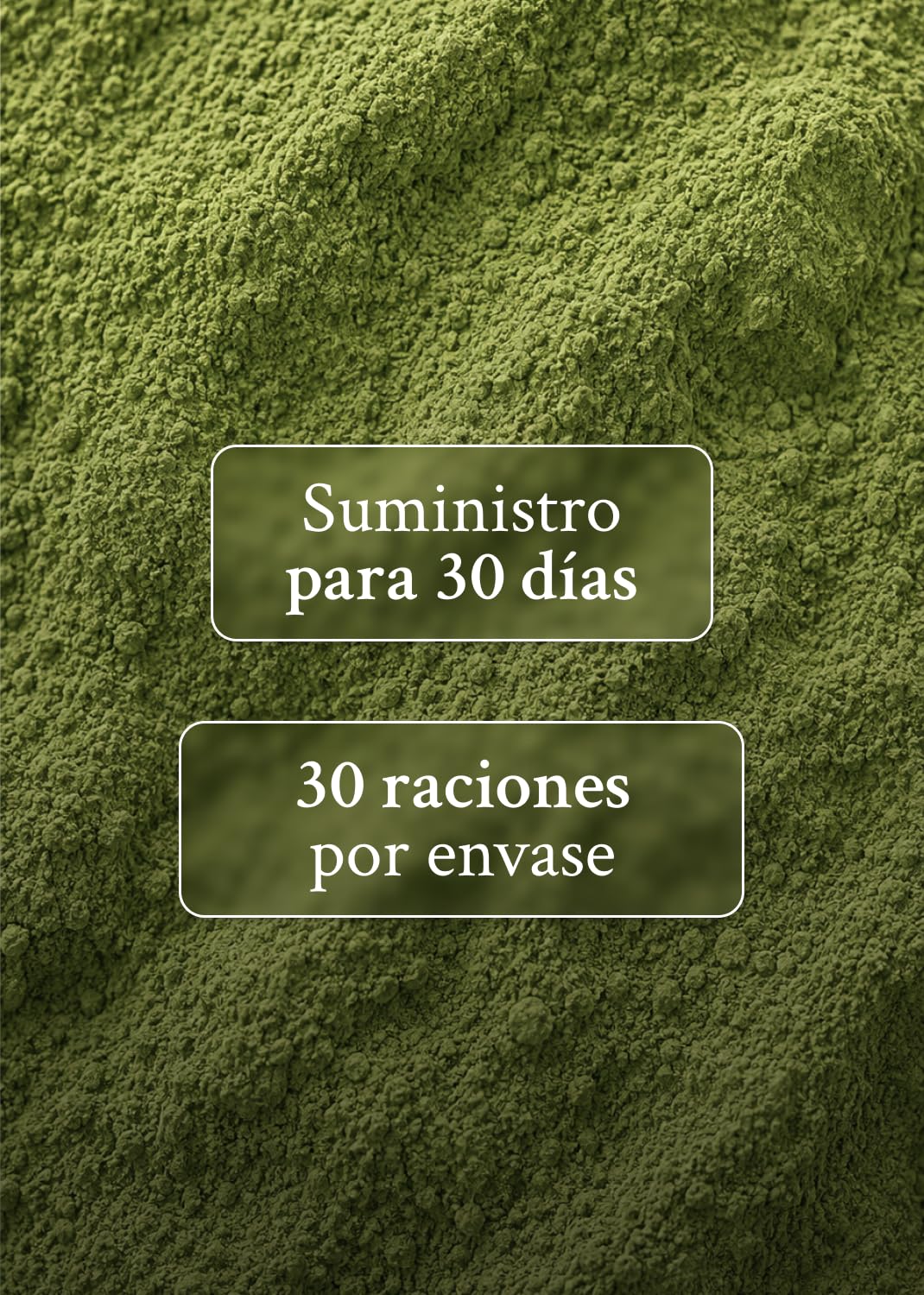 Intenson Green Formula, Arándanos, Super Greens Powder, 300 g | Mezcla de Superalimentos con Chlorella, Espirulina, Ashwagandha con OPC y Moringa, Sin Azúcar, Naturalmente Endulzado
