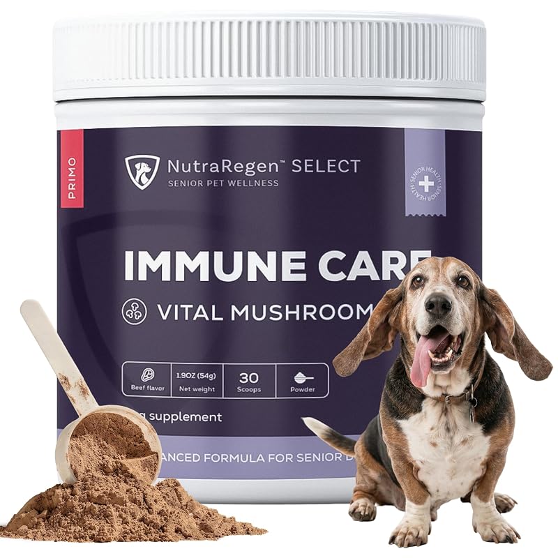 Suplemento para Cães com Cogumelos Funcionais Turkey Tail NutraRegen PRIMO em Pó 30 Medidas
