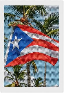 STVNKML 5D Diamond Painting Kit for Adults 8"x12" Full Drill DIY Puerto Rico Flags Frog Palm Trees Diamond Art Painting with Premium Tools (Pen, Tray, Wax) HD Canvas, Creative Decor Craft Gift