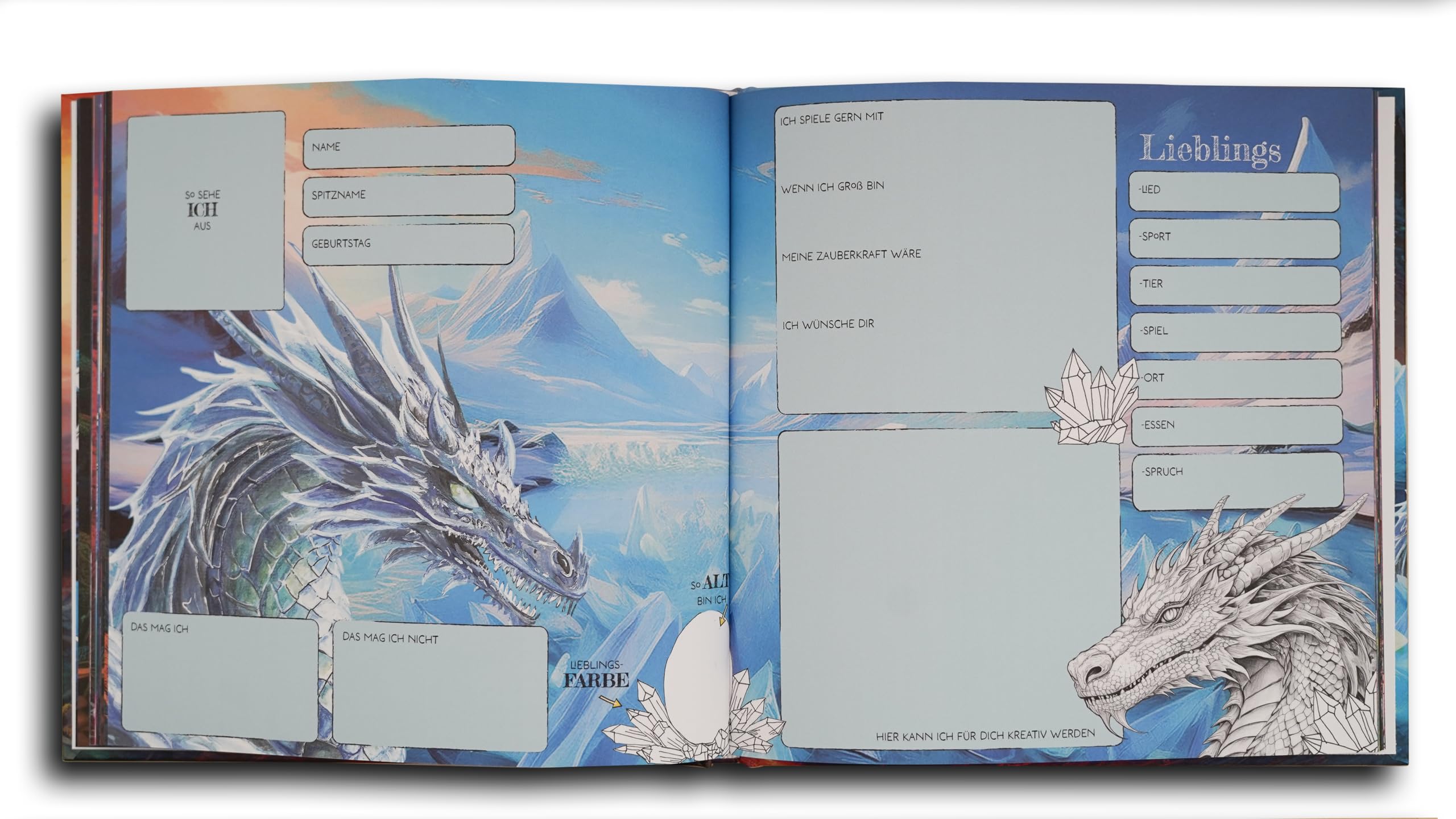Livre d'amitié Mon dragon ami pour garçons et filles maternelle école primaire Cadeau rentrée des classes
