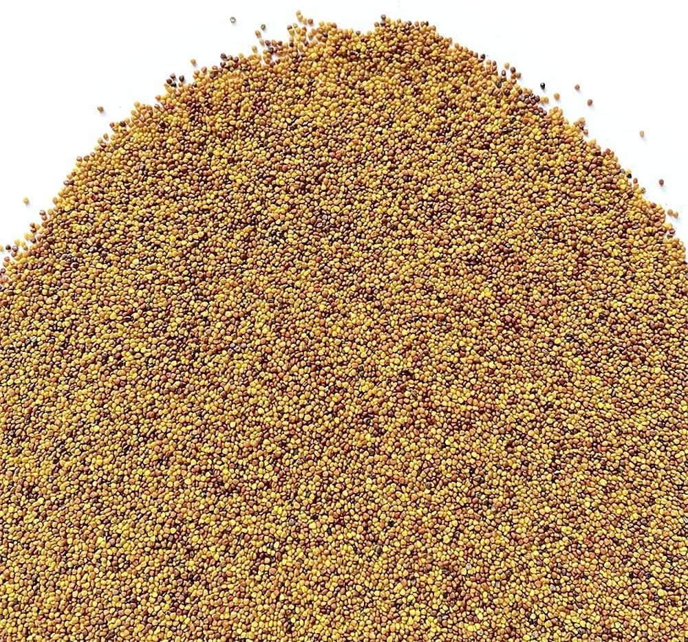 Trifoglio Bianco Nanissimo (500g) - Il Contadino