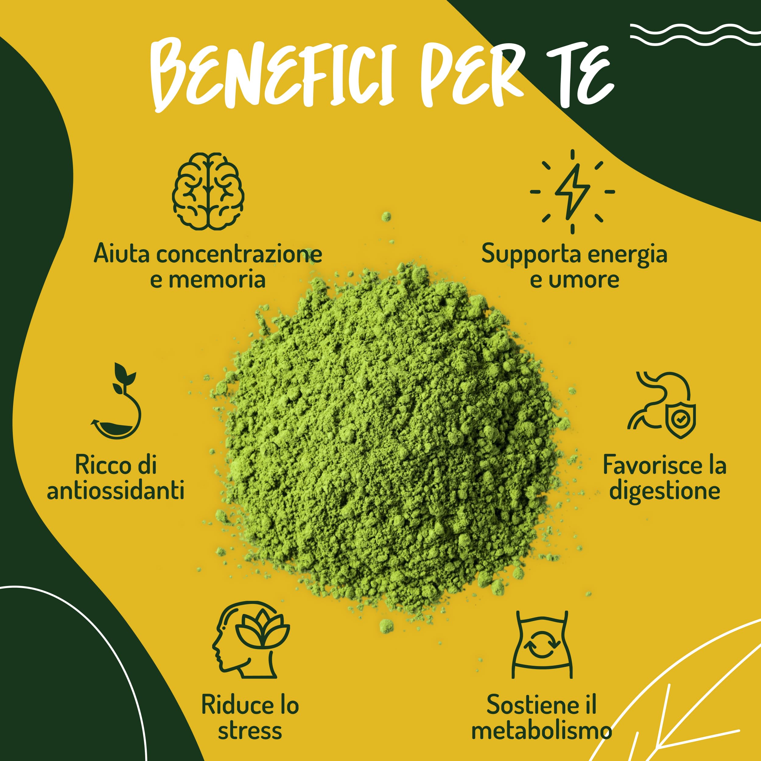 The Matcha Cerimoniale Giapponese e Bio - 100g. Te Verde Matcha in Polvere Biologico per Cerimonia del Tè Matcha Latte o Frullati. Organic Matcha Green Tea Powder.