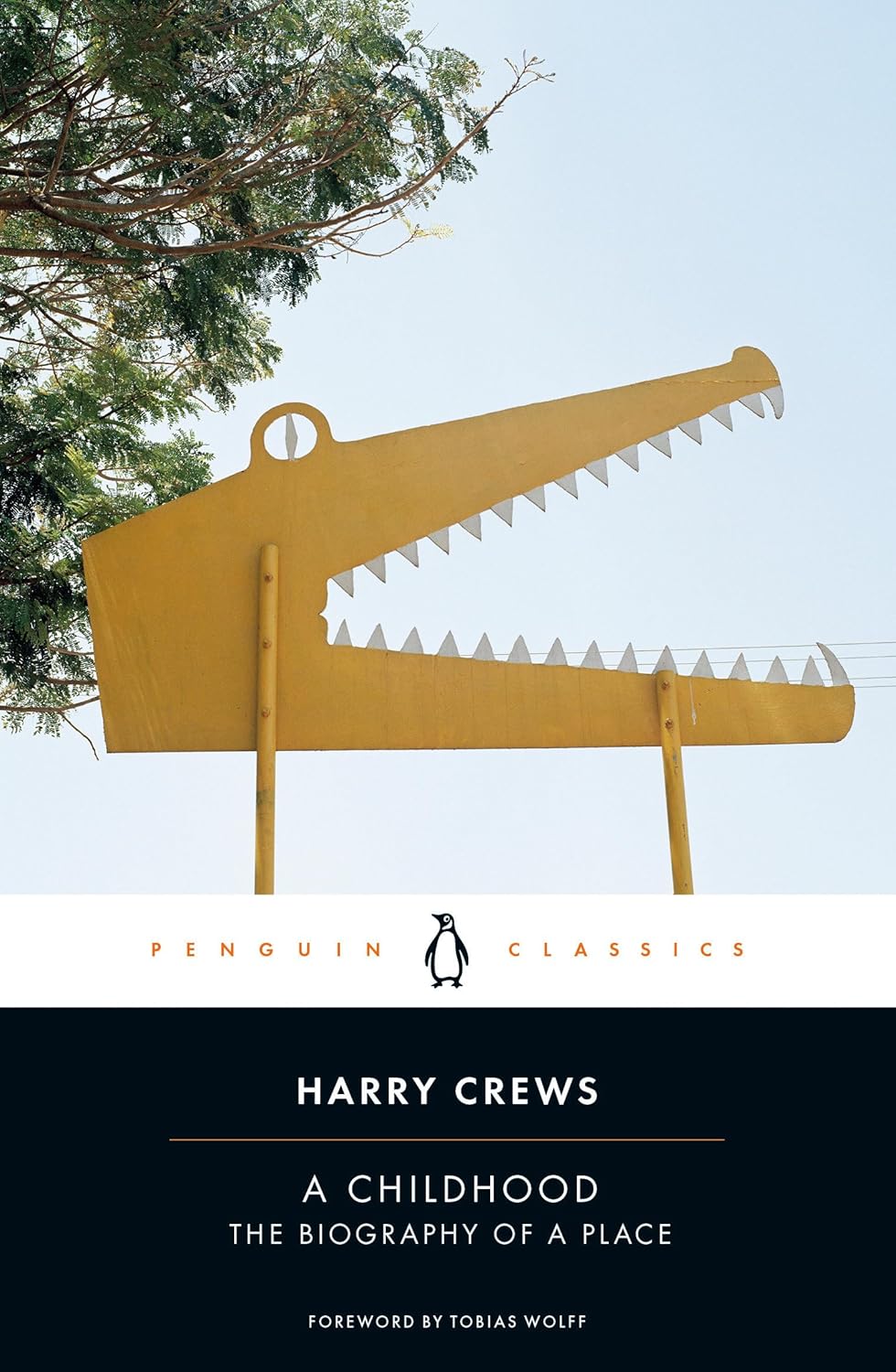 A Childhood - by  Harry Crews (Paperback)