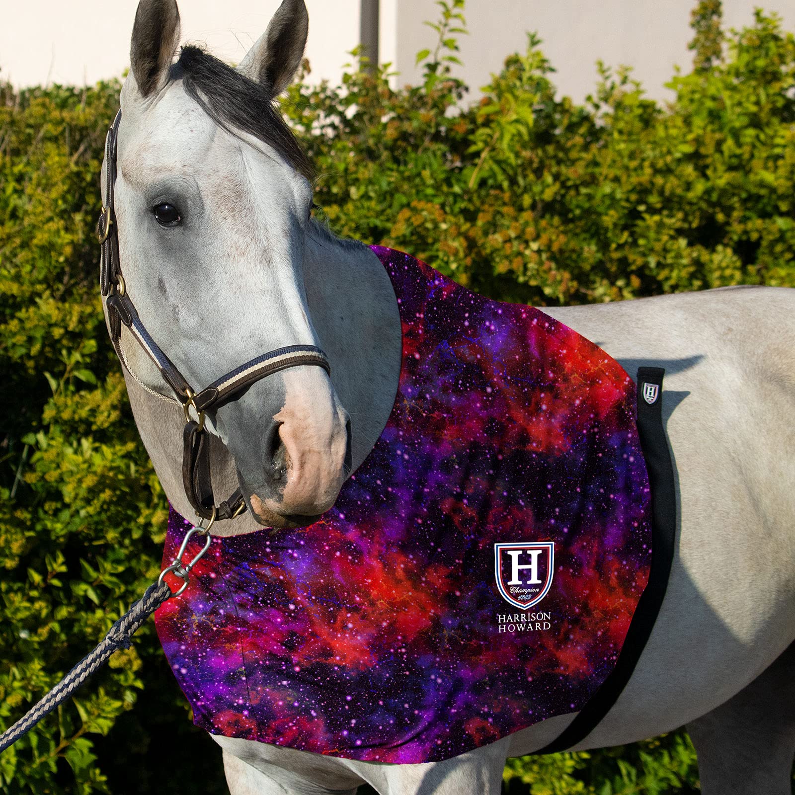 Harrison Howard Protège-épaules extensible anti-frottement pour cheval Cosmos