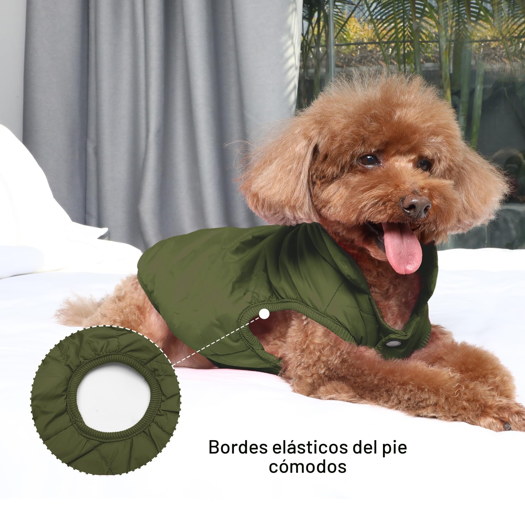 JoyDaog - Chaqueta de perro con forro polar de 2 capas para invierno y clima frío, extra suave, a prueba de viento, para cachorro y perros pequeños, verde, XS