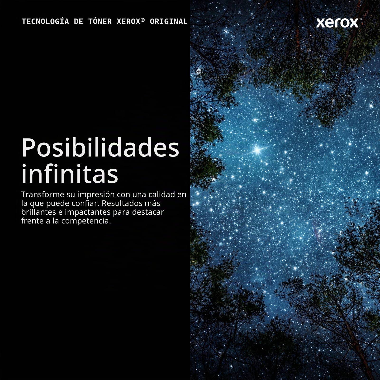 Xerox Original B210 / B205 / B215 Negro Cartucho de Tóner Estándar Capacidad (1,500 Páginas) - 106R04346