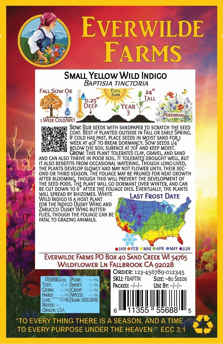 Everwilde Farms - 1 Oz Yellow Wild Indigo Native Wildflower Seeds - Gold Vault
