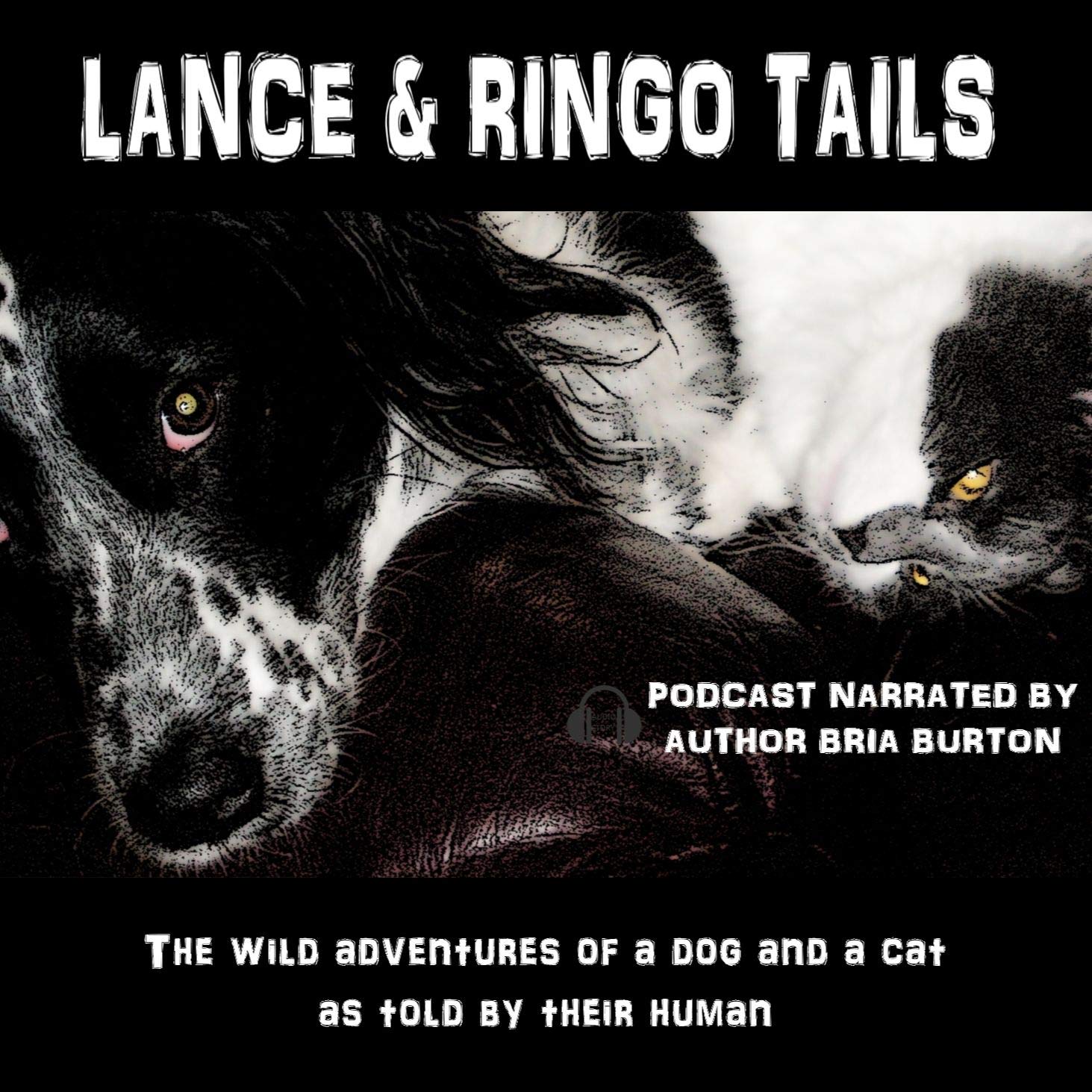 Lance & Ringo Tails podcast