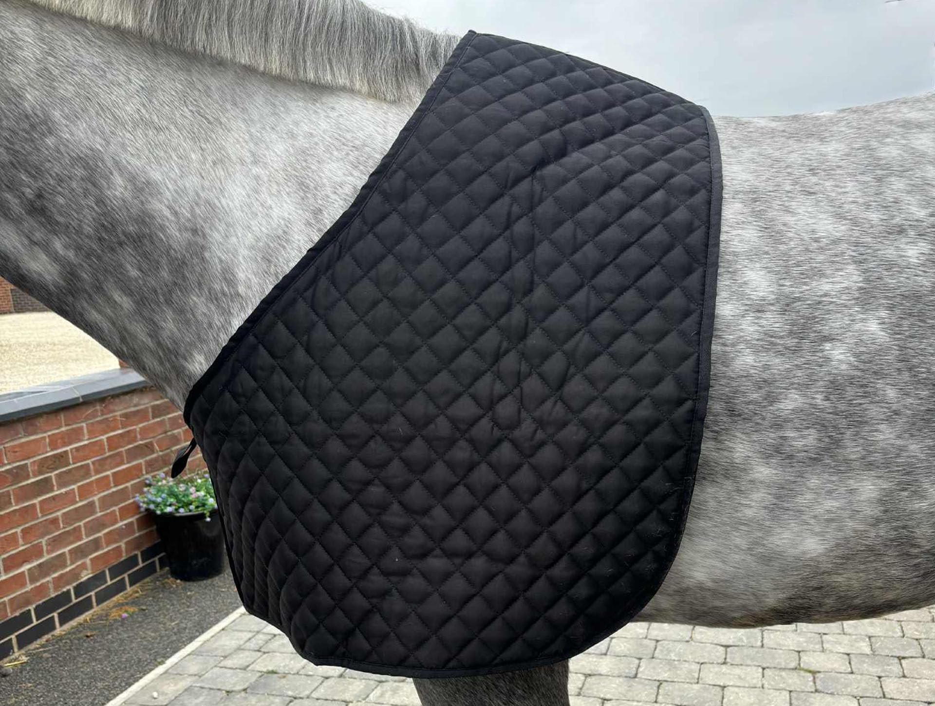 Ruggles Quilted Anti Rub Bib for horses and ponies - Shoulder Guard (Black, Full)