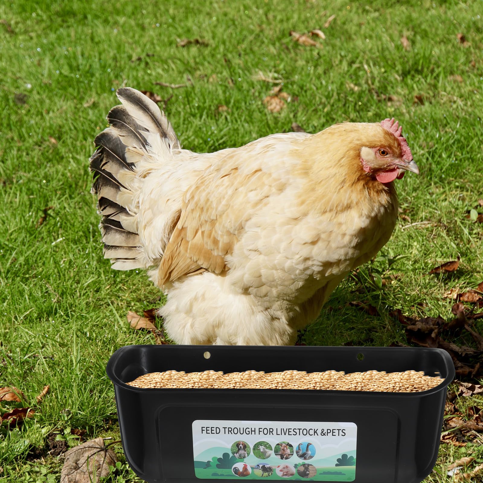 Comedero Automático para Aves de Corral Grande de 2 Piezas, Contenedor Colgante Negro de Alta Capacidad, Comedero Anticaída para Gallinas, Patos y Cabras, Abrevadero Resistente