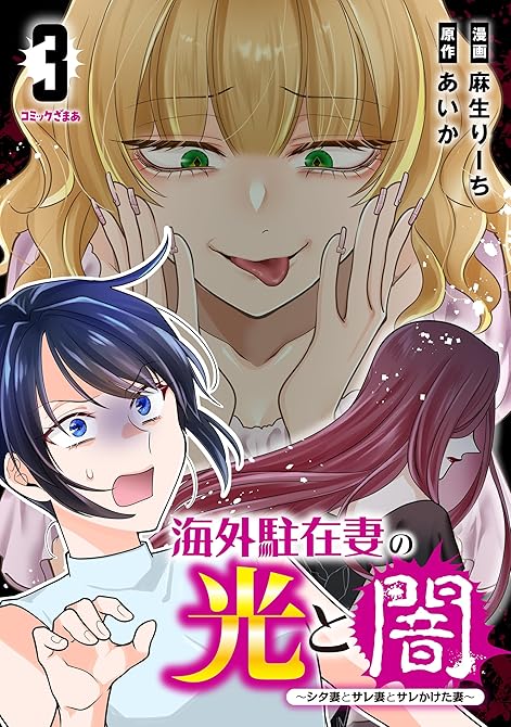 『海外駐在妻の光と闇　シタ妻とサレ妻とサレかけた妻（３）』の表紙イラスト 電子書籍 漫画