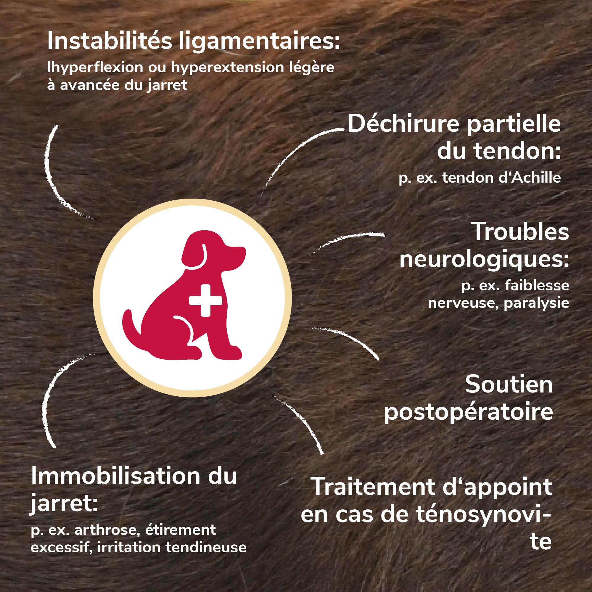 Bandage de Jarret en Mousse Taille XXXL pour Chiens & Chats – Respirant avec Attelles pour Le Soutien du Jarret en Cas d'Arthrose & d'Instabilité