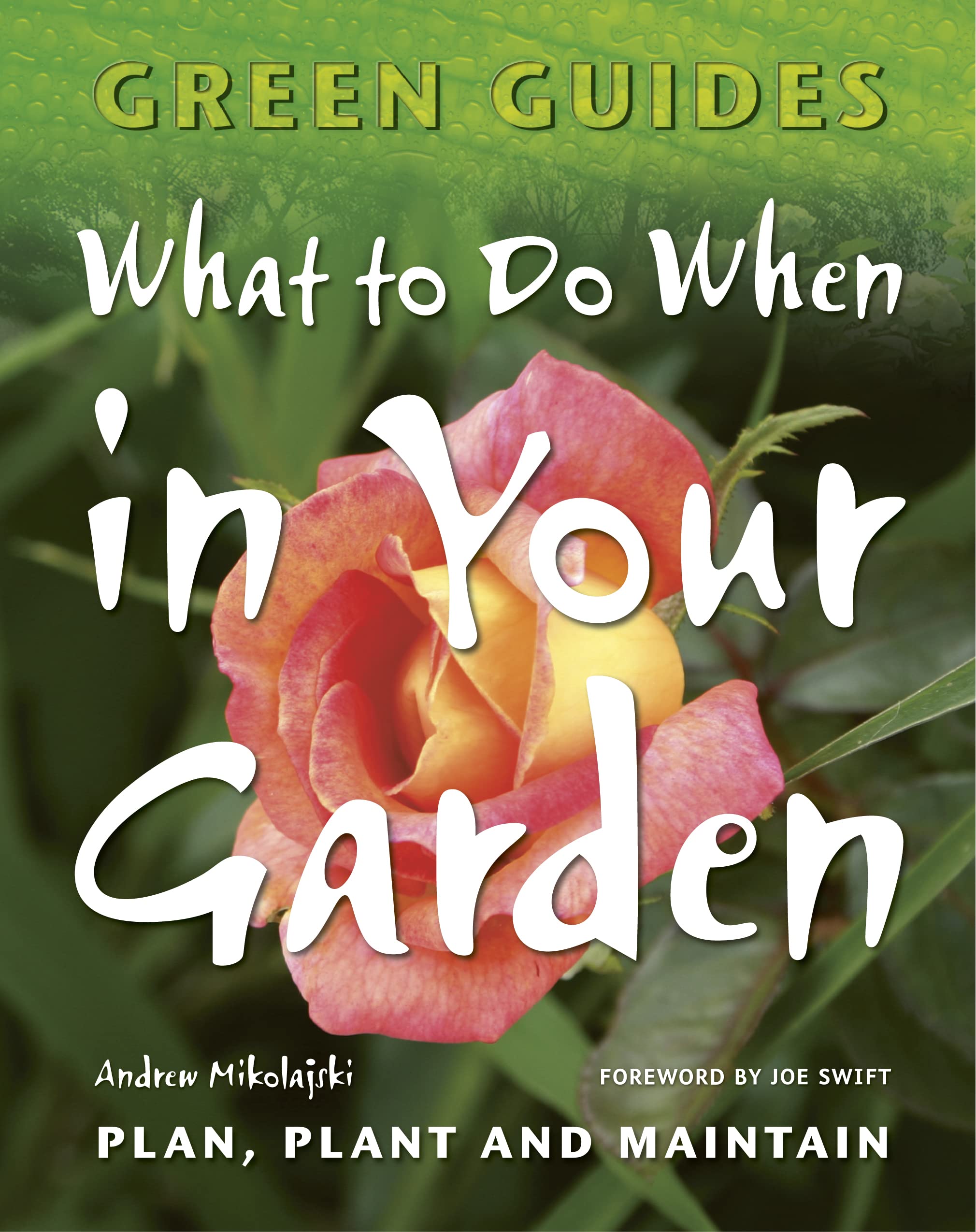 What To Do When In Your Garden: Plan, Plant and Maintain (Green Guides)