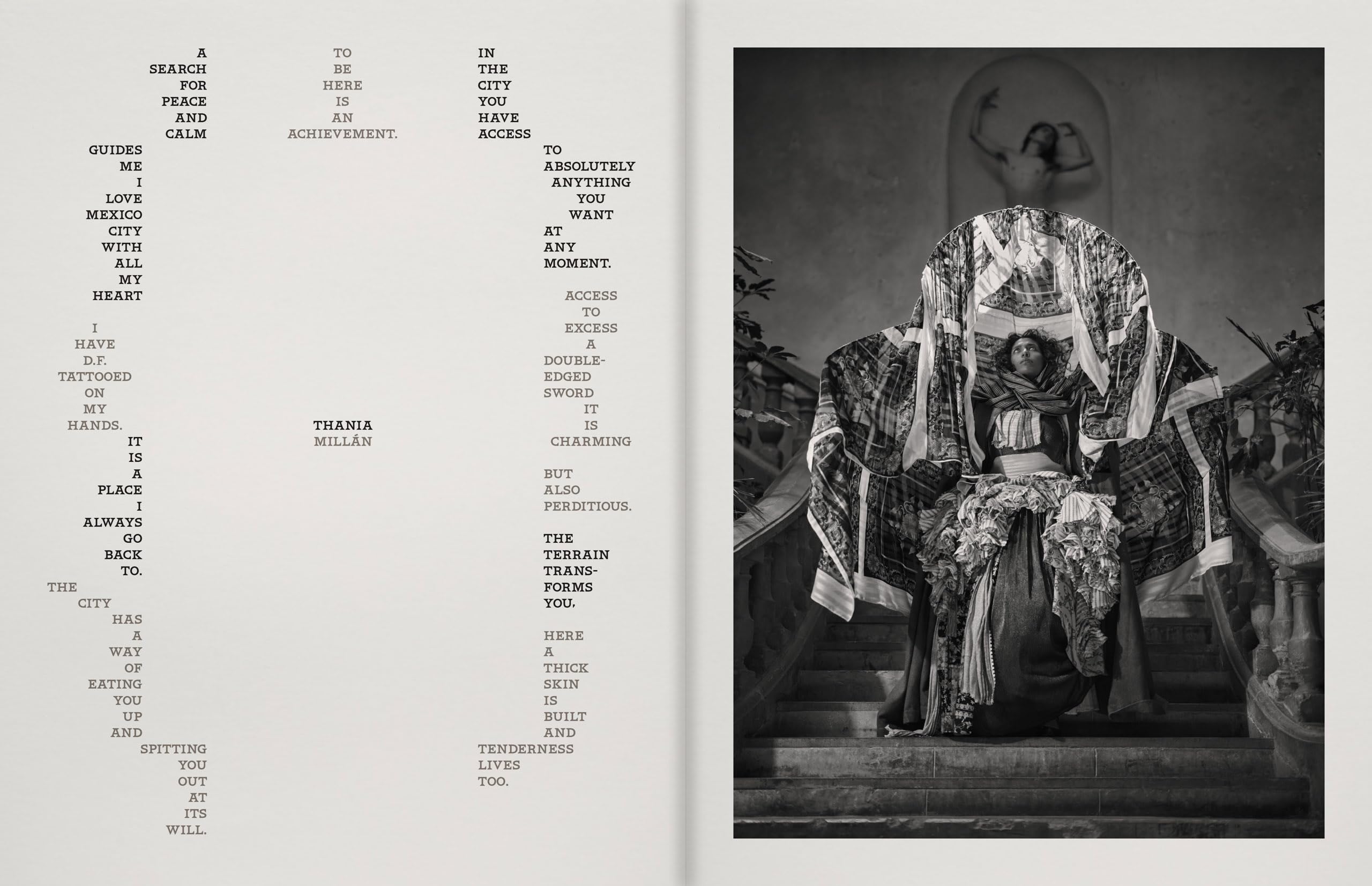 Pieter Henket: Birds of Mexico City