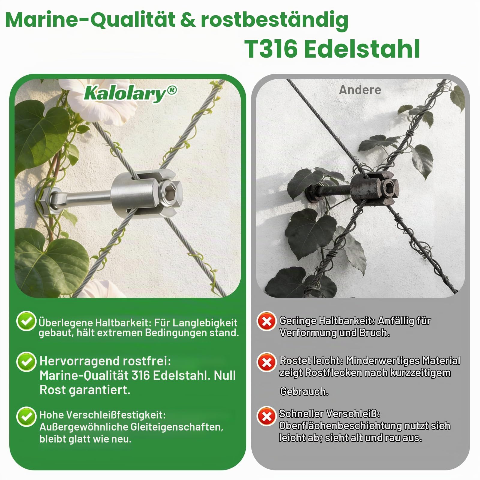 Kalolary 12 Stück T316 Draht Rankgitter et Garten Rankgitter Blumenwände