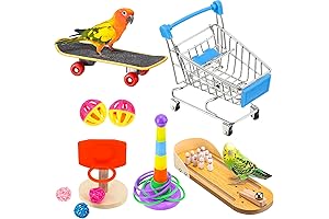 10 Pieces Bird Skateboard and 9 Other Parrot Training Toys