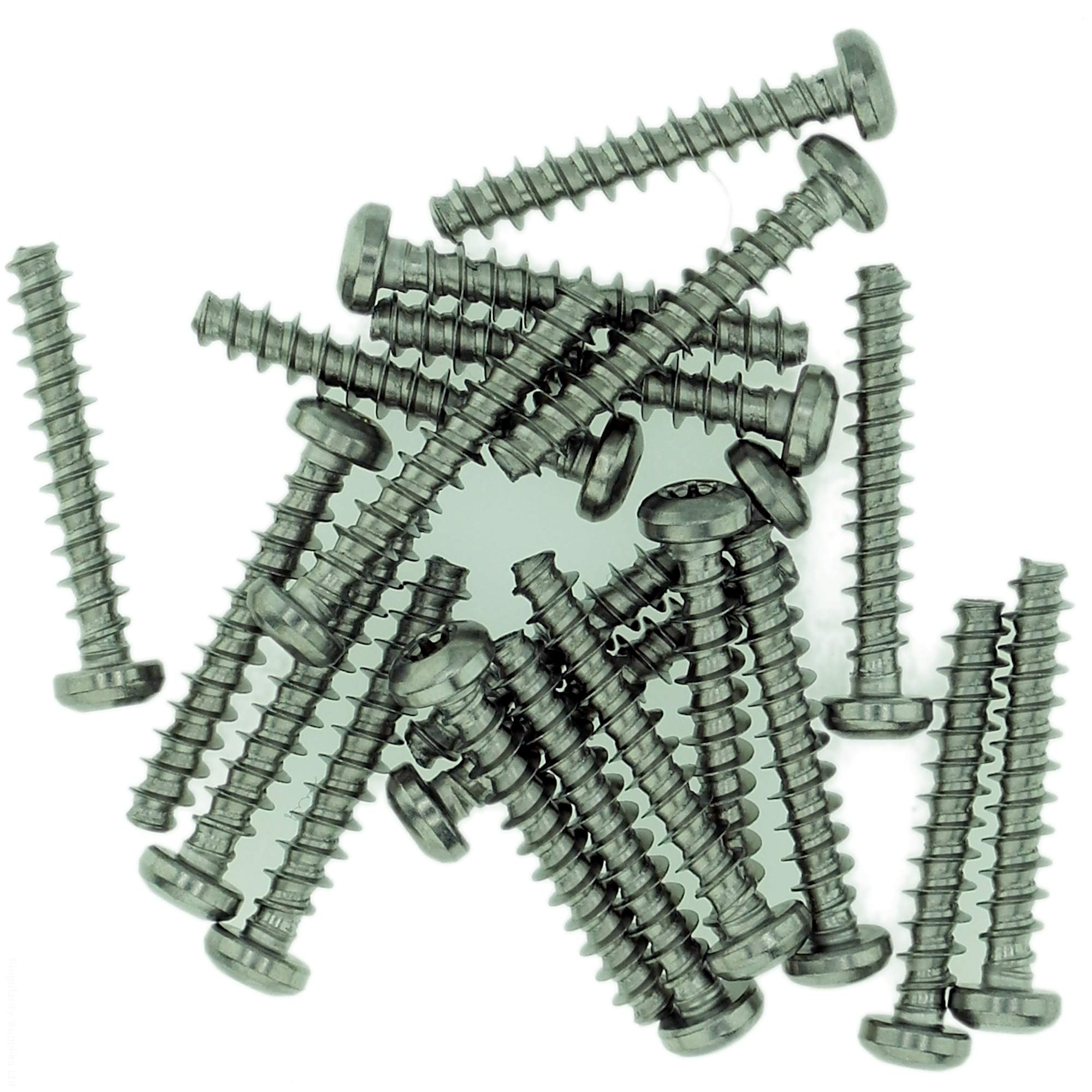 Singularity Supplies Silver D5 (5Mm X 12Mm) Tx Pan Screws For Plastic - Stainless Steel (A2) (Pack Of 20)