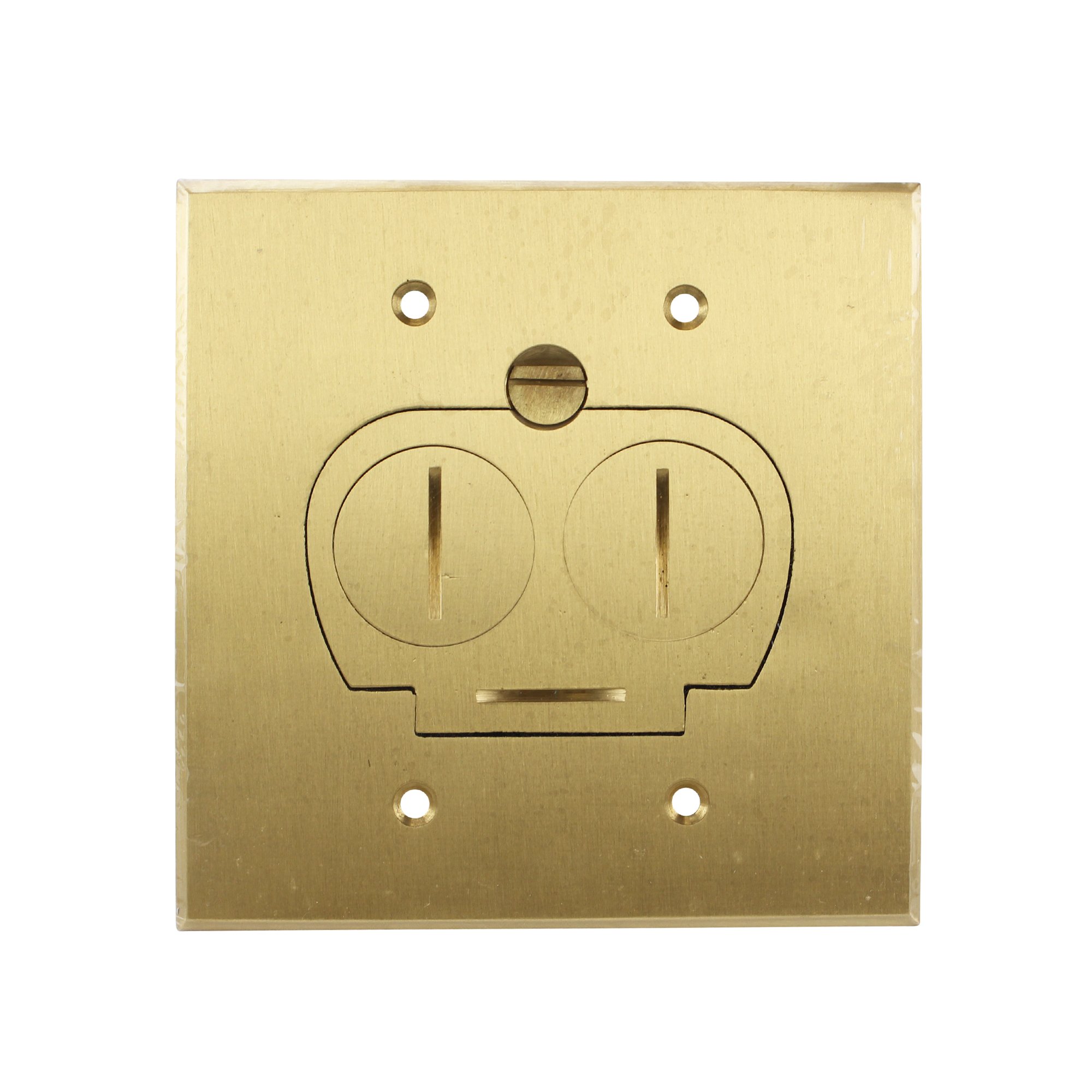 Concealed Plug Recessed Floor Box, One 15A Duplex, Screw Plugs (Brass)