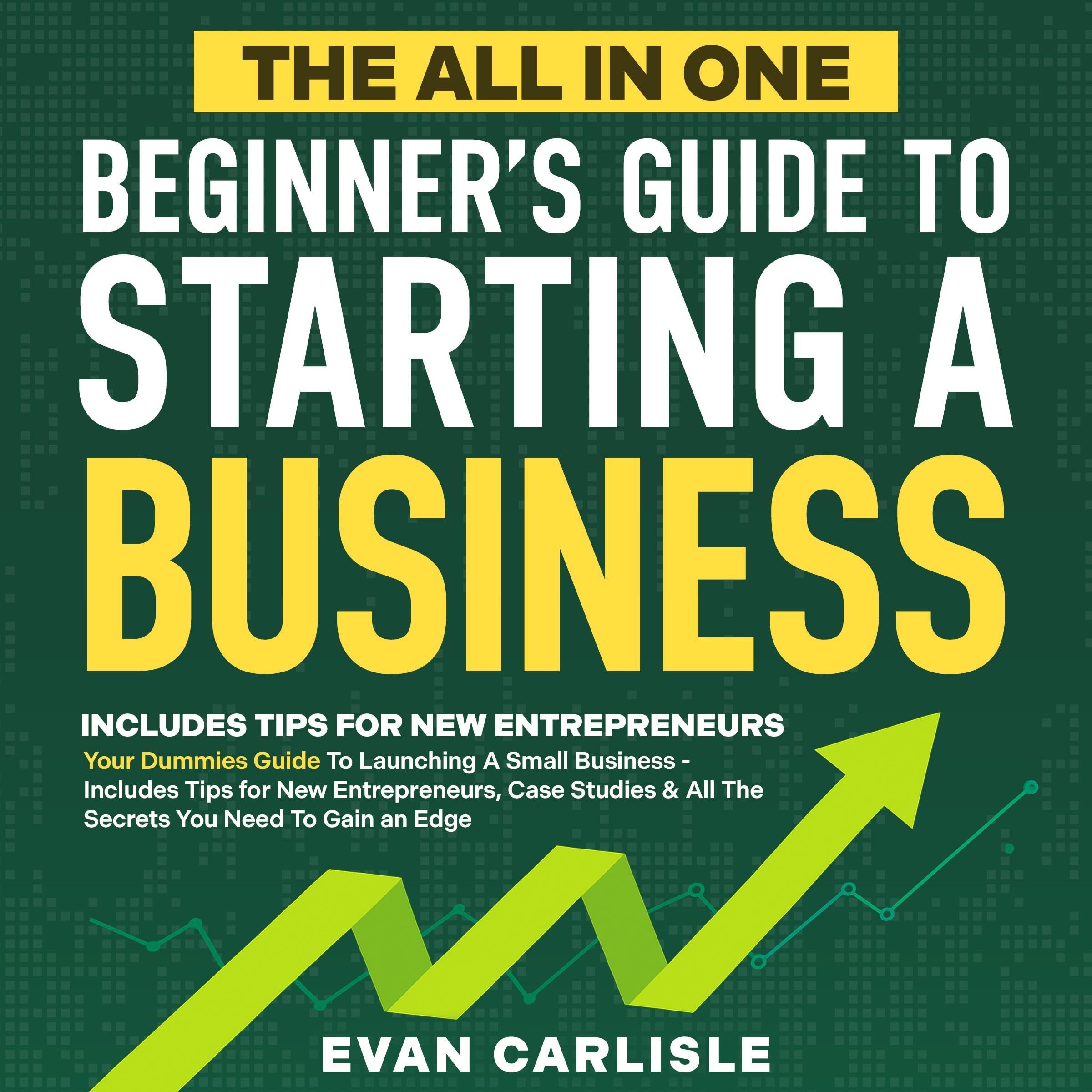Cover art for The All in One Beginner's Guide to Starting a Business