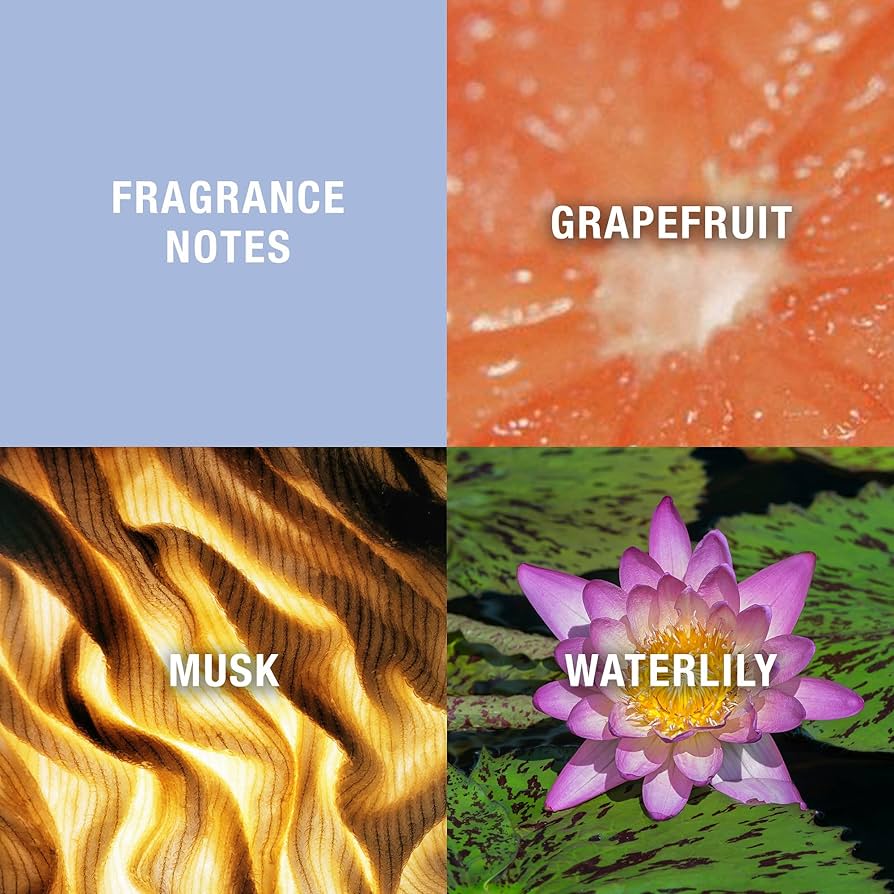 Amazon.co.jp: カーヴ オーデトワレ・スプレータイプ 100ml