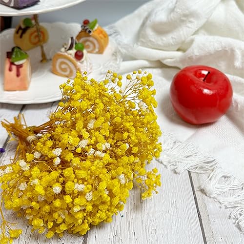 Miniatura 2 de 6 ramos preservados del aliento del bebé, tamaño mini, 100% natural, gypsophila, flores de larga duración para jarrón, decoración del hogar,