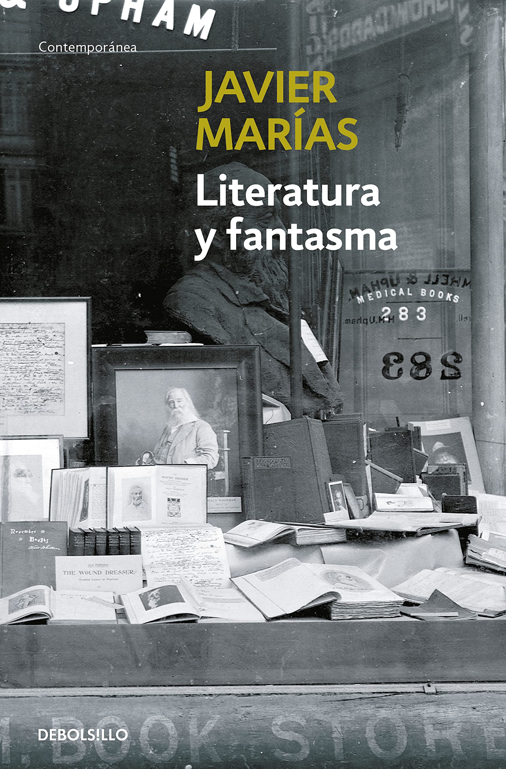 Literatura y fantasma (Contemporánea)