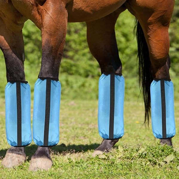 Botas para Caballos | 4 Piezas de Protectores de Pierna de Malla para Caballos - Polainas Equinas Cómodas | para Carreras, competiciones, Entrenamiento, Rancho, Granja y Patio - 3