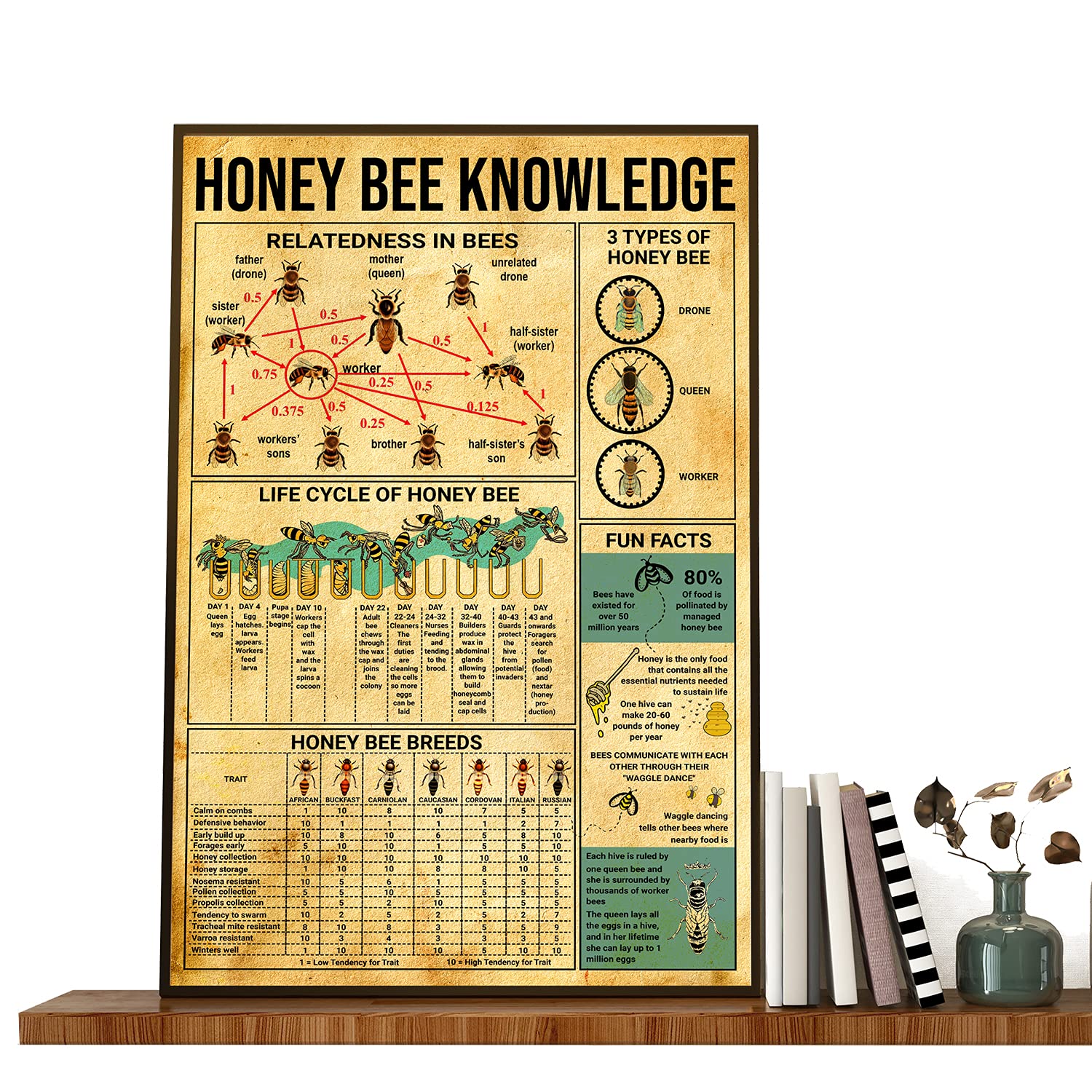 Guide For The Beekeeper Printing Types Of Honeybee Poster Life ...