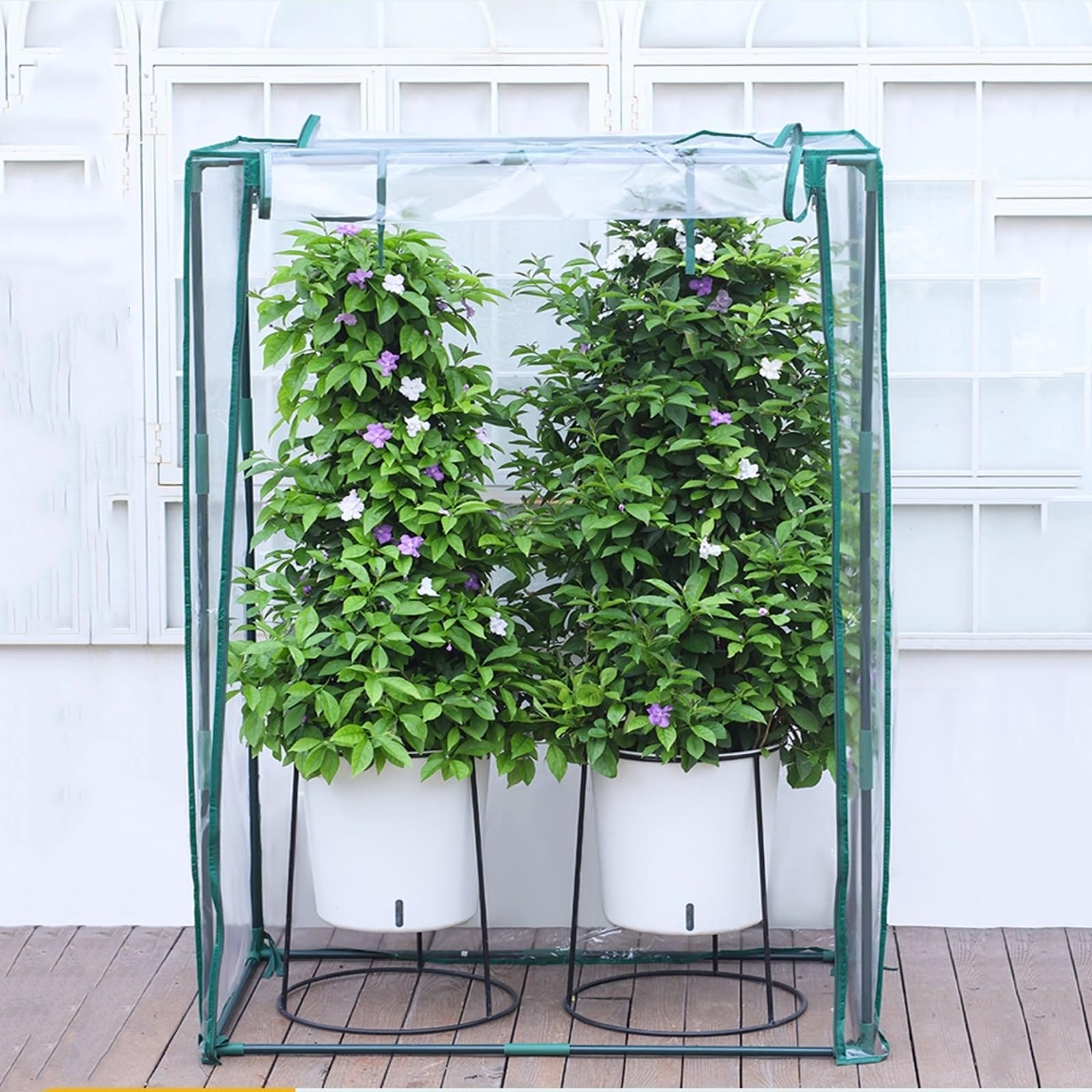 Miniserre Piccole, Applicabili Su Terrazzi, Con Copertura In Pvc, Per La Protezione Di Piante Di Medie E Grandi Dimensioni, Porta Con Cerniera(100x60x150cm)