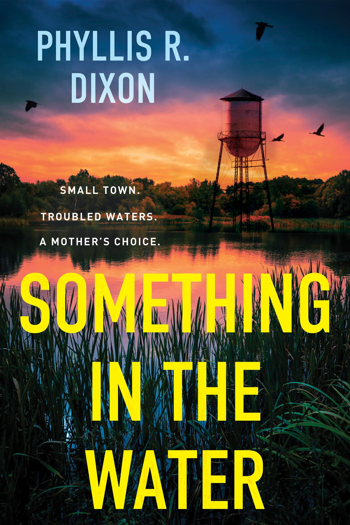 Buy Something in the Water — BookShops.in