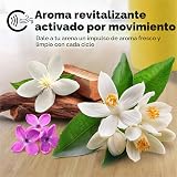 Ver la foto 7