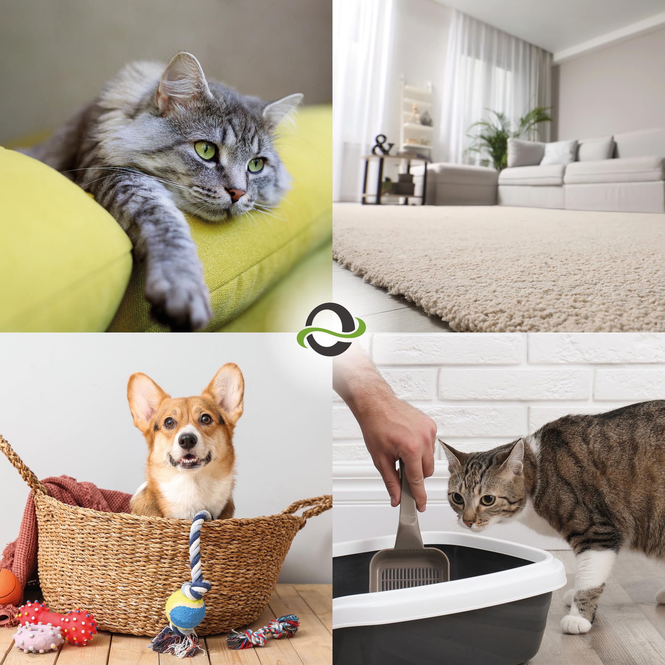UF2000 Removedor de Olores de Orina 2500ml | Sin Perfume | Biodegradable | Basado en Enzimas Vegetales | Elimina eficazmente los olores de orina de Perros, Gatos y roedores.