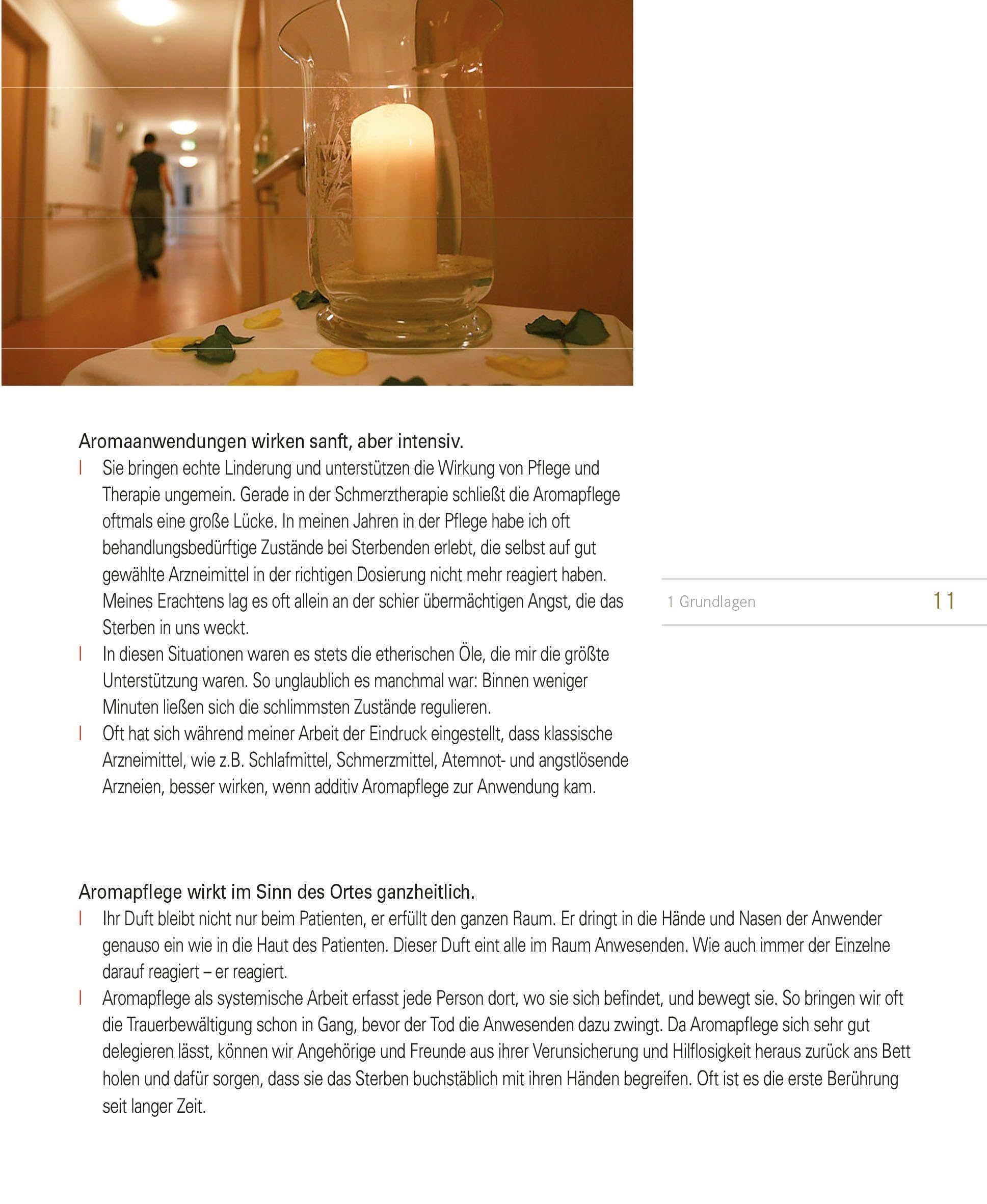Aromapflege: Palliative Care für Einsteiger - Band 2