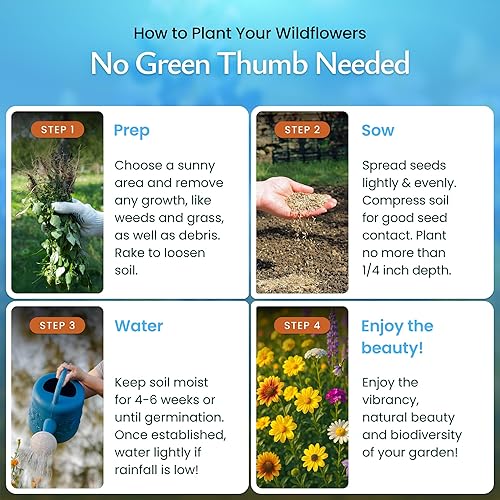 Miniatura 4 de Created By Nature Todas las semillas de flores perennes, 15 variedades de flores, 49,000 semillas de flores silvestres