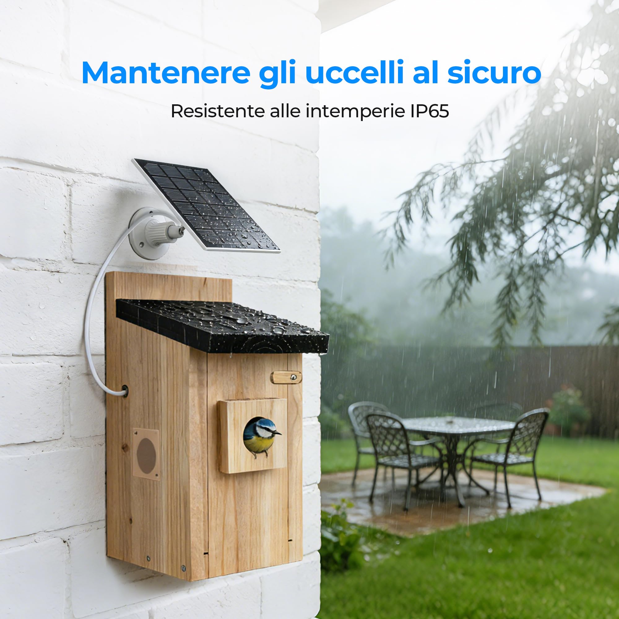 Casetta per Uccelli con Videocamera - Nido per Uccelli con Telecamera 4MP, Osservazione Nidificazione in Diretta, Alimentazione Solare, Impermeabile IP65, Kit Fai da Te