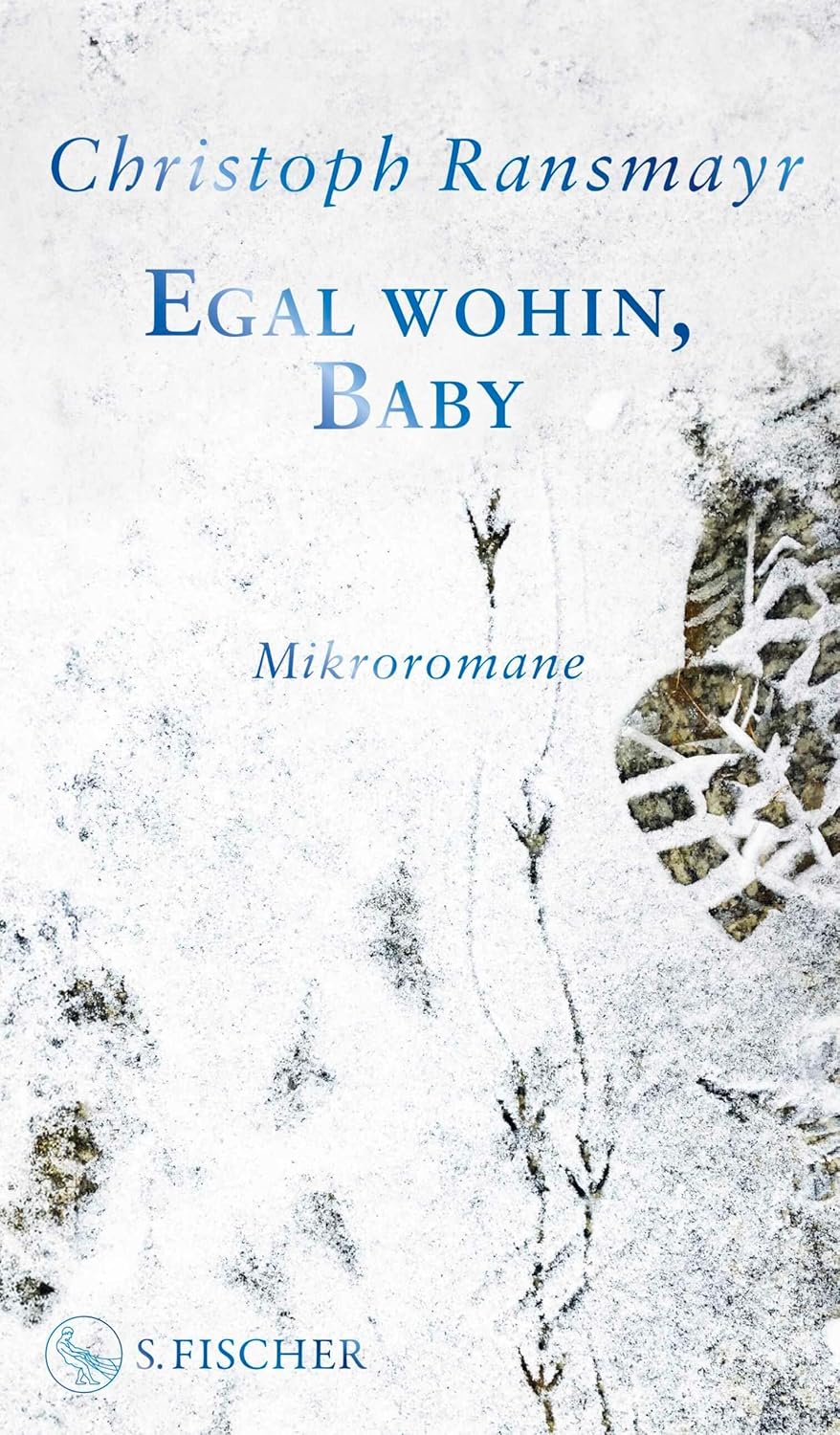 Egal wohin, Baby: Mikroromane (German Edition)      Kindle Edition