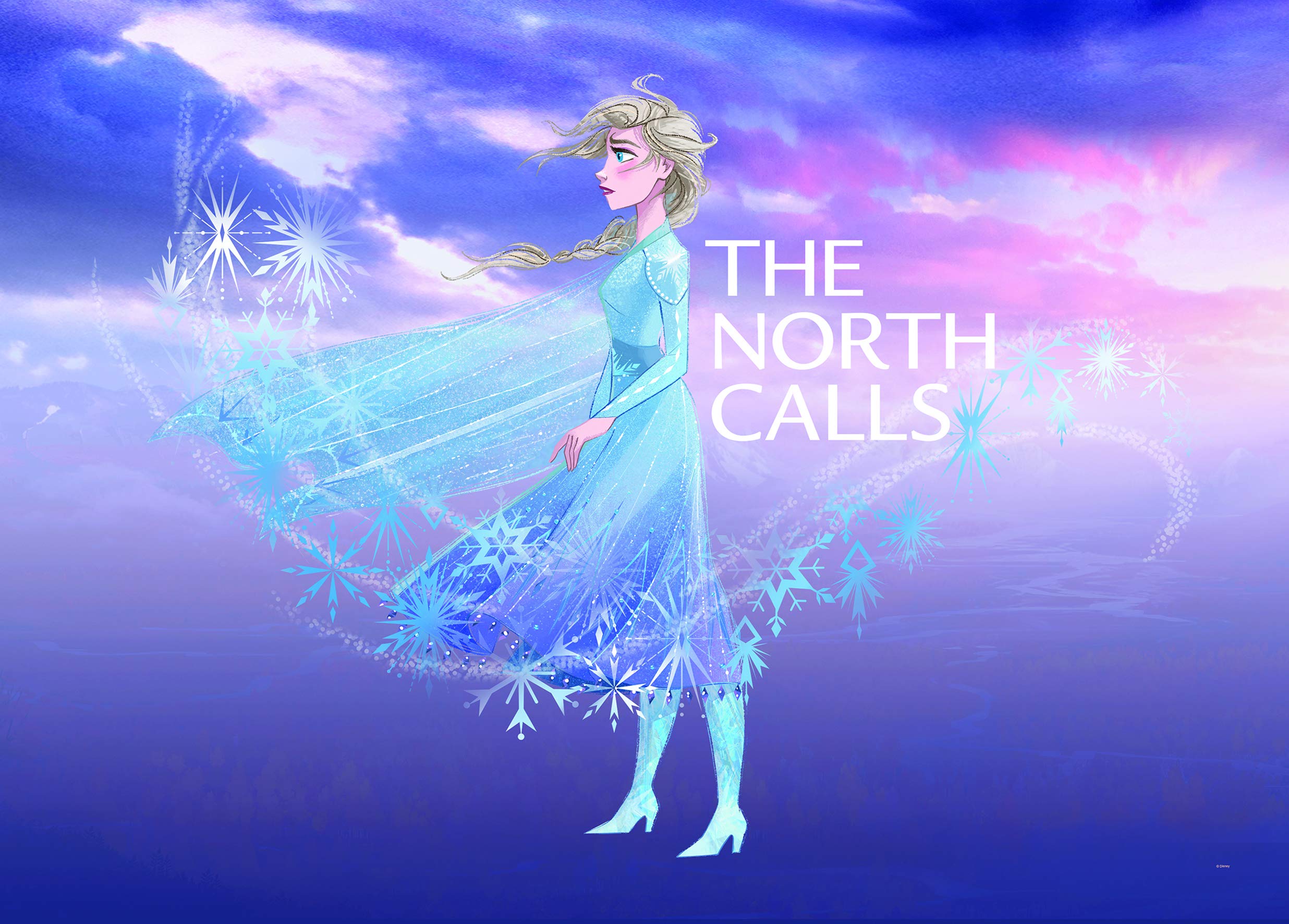 Amazon.com: Komar Disney Frozen Elsa The North Calls WB073-70 x 50