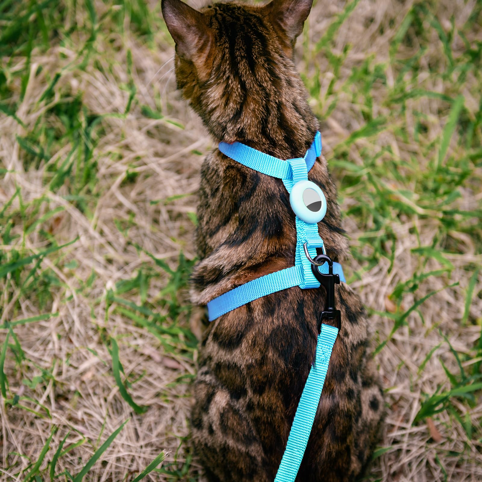 Set di imbracatura e guinzaglio per gatti a prova di fuga per passeggiate, guinzaglio regolabile per gattini con supporto per Airtag per gatti piccoli e grandi, imbracatura da viaggio