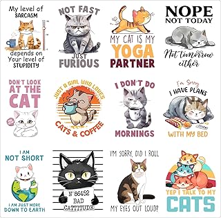 12pcs Kittens Cat Iron on Transfers Heat Transfer Decals Iron on Transfers for T Shirts Patches Sticker for Clothes Pillow Covers DIY Appliques