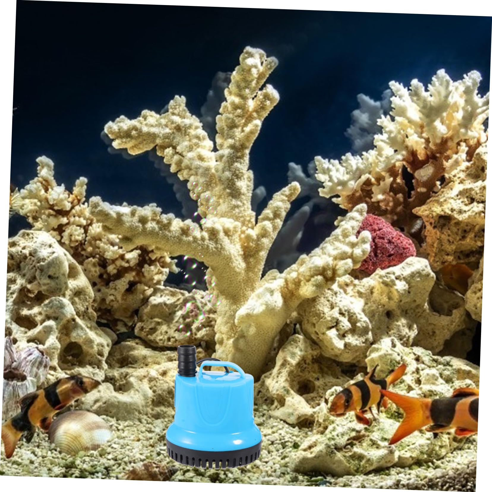 Kisangel 2stücke Nützliche Unterwasserpumpe Für Aquarien Zirkulationspumpe Mit Saugnäpfen Leise Und Installieren Für Fischbecken Und Hydroponik