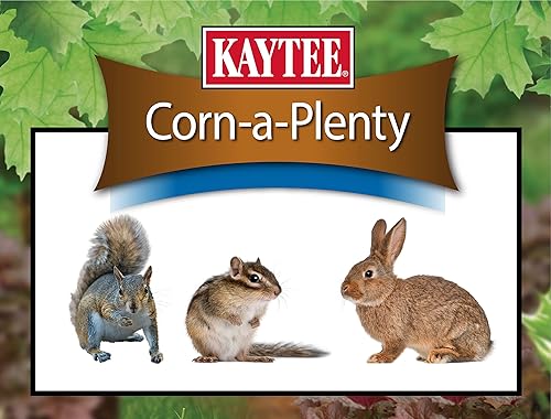 Miniatura 6 de Kaytee Corn A Plenty Treat - Alimento para pastel de semillas para ardillas silvestres, ardillas, conejos y otros animales salvajes de backyeard,