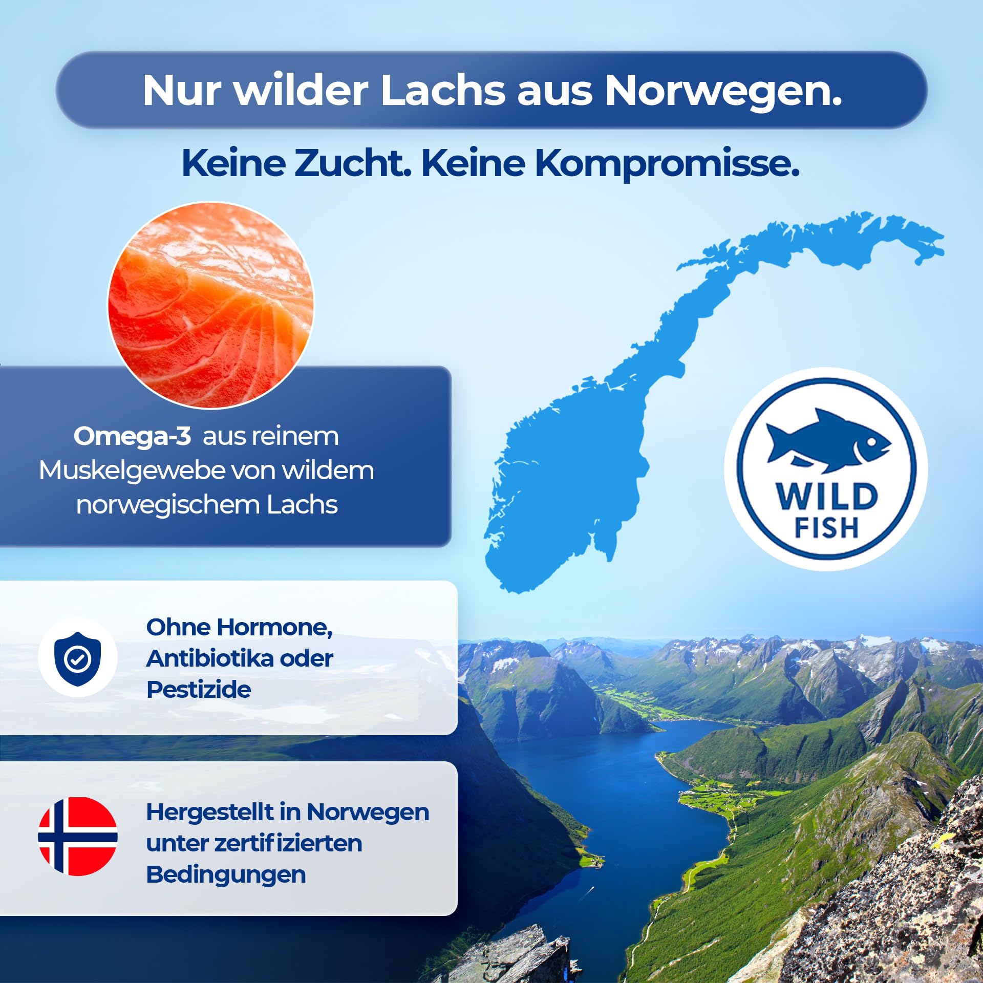 OmegaMARE Forte+ – Omega-3 Jahresvorrat (720 Kapseln) | XXXL Pack aus wildem norwegischem Fisch | mit EPA, DHA, DPA & Vitamin D3