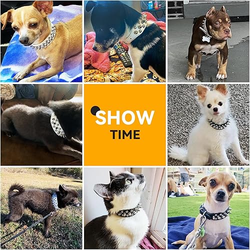 Miniatura 6 de PETCARE Collar de perro con pinchos, de piel sintética suave, color blanco, con diseño de hongos, remache, tachuelas, collar ajustable para perros