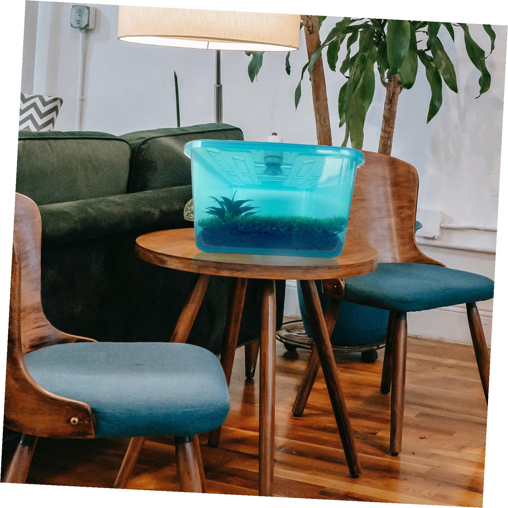 INOOMP Acquaterrario Tartarughe Blu in Plastico Piattaforma per Asciugatura e Vasca Alimentazione Integrata, Terrario Pratico e Resistente per Rettili