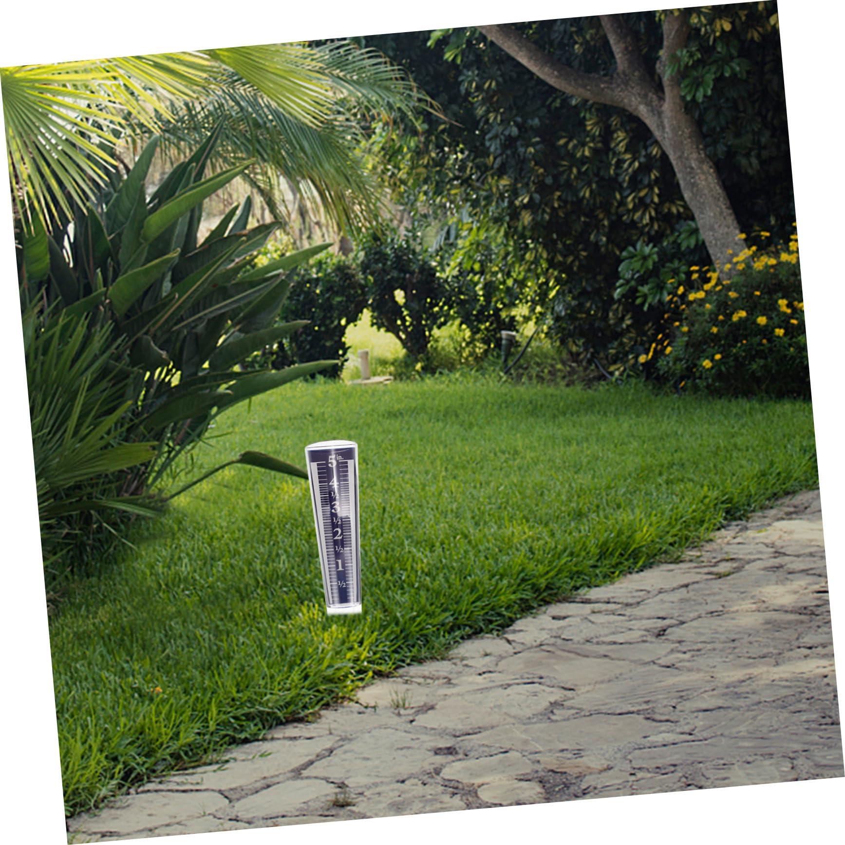 Toddmomy 5stücke Regenmesser Mit Transparenter Runder Niederschlagsmesser Für Garten Für Außenbereiche Präzise Regenmessung Für Rasen Und Pflanzenpflege