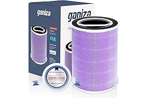 Ganiza Air Purifier Replacement Filter: Breathe Easier with Pristine Air