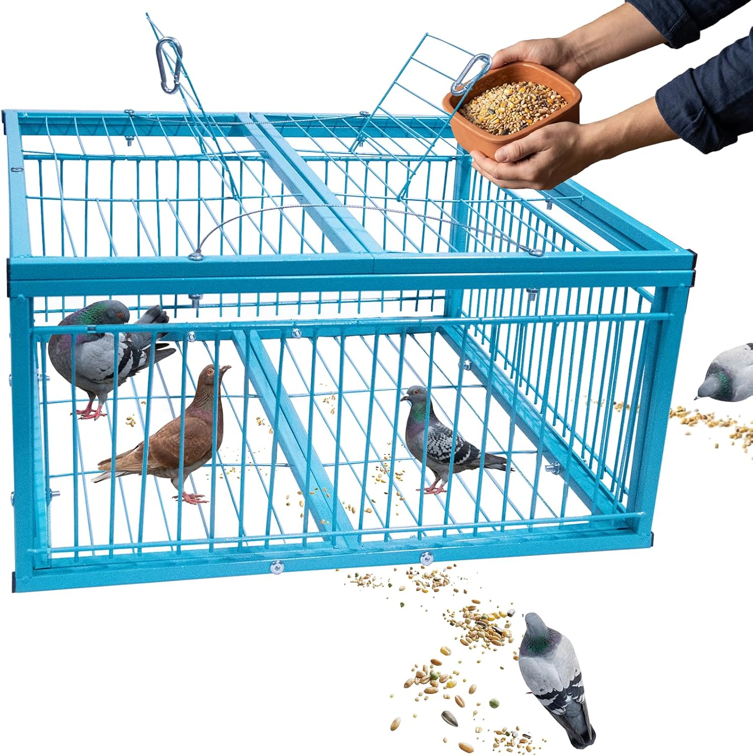 4-Sided Walk-in Pigeon Trap - Humane Live Bird Cage for Safe Capture & Transport